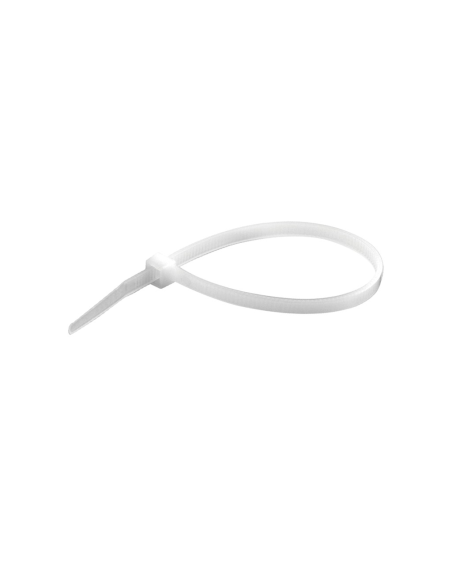 BRIB260160